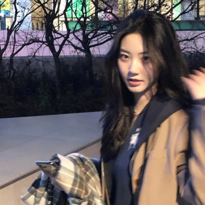 黑蝶漫舞 在线观看