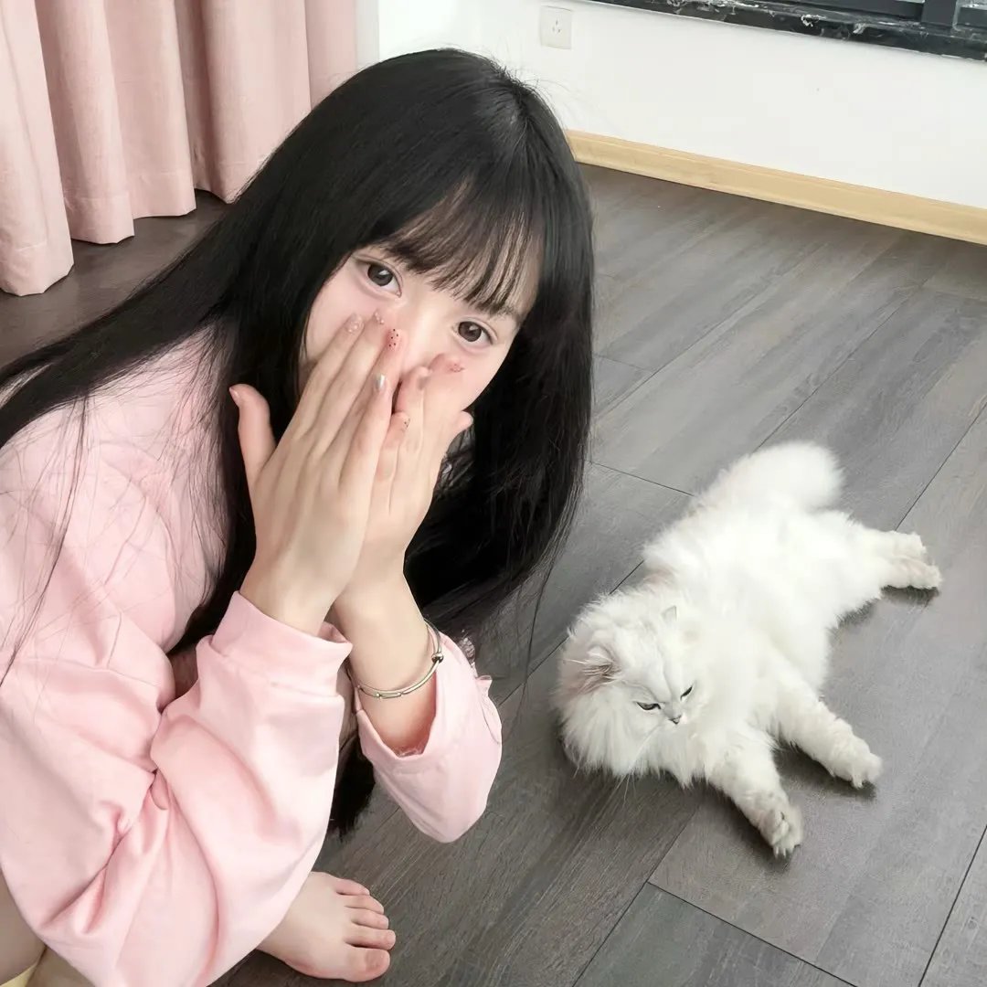 摩登衙门 在线观看