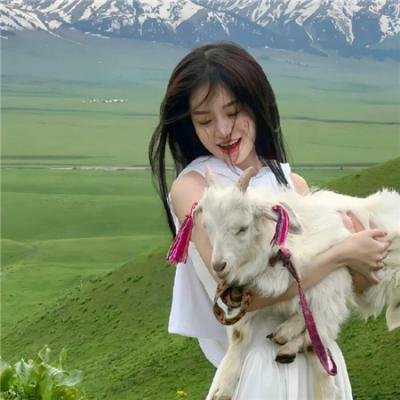 叔比狗:木乃伊传奇 在线观看
